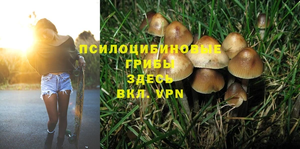 a pvp Алексеевка