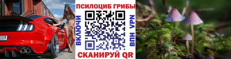 Псилоцибиновые грибы Psilocybine cubensis Черемхово