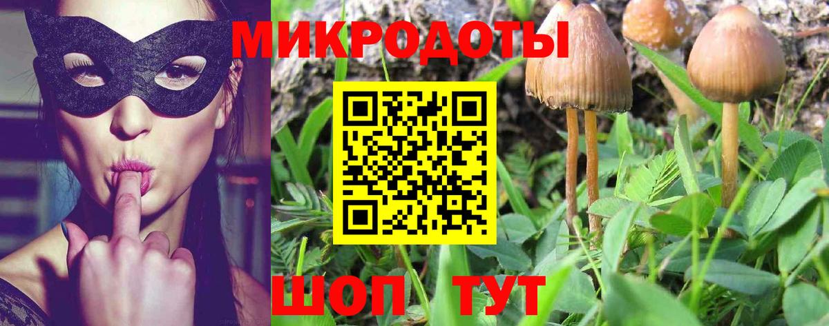 Псилоцибиновые грибы MAGIC MUSHROOMS  купить   Черемхово  Вход с VPN  Галлюциногенные грибы Psilocybe 