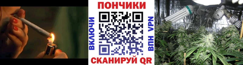 Бошки марихуана конопля  omg   Черемхово  закладки 